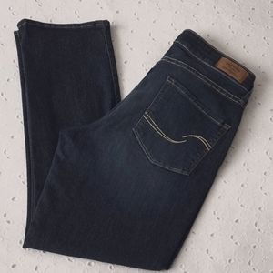 Women's Signature Levi Strauss Jeans Modern Slim Size 10S